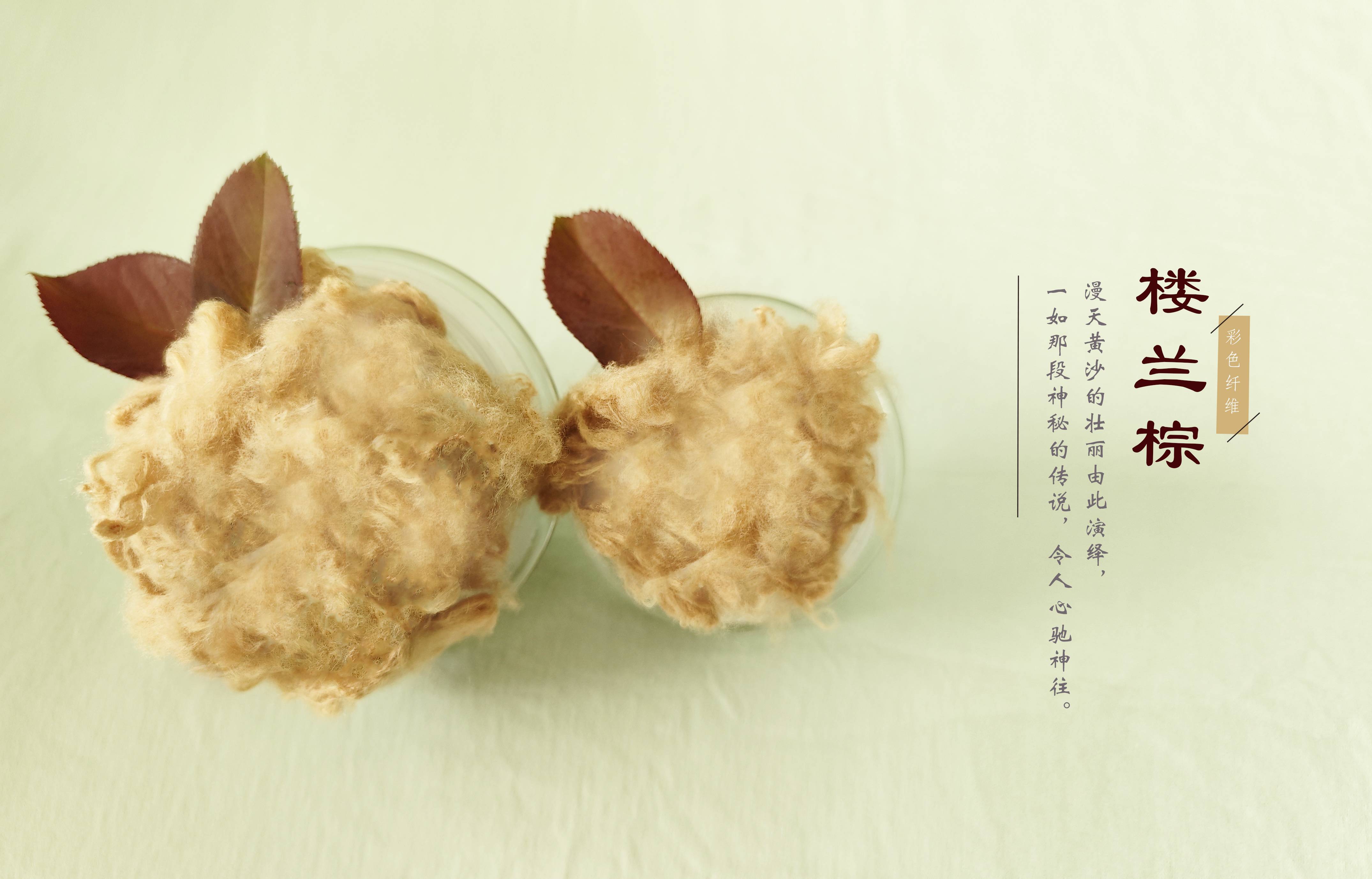 凤凰联盟平台注册·(唯一)官方网站